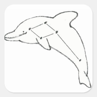 DelphinusAirways klistermärke