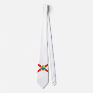 delstaten Florida flagga Slips