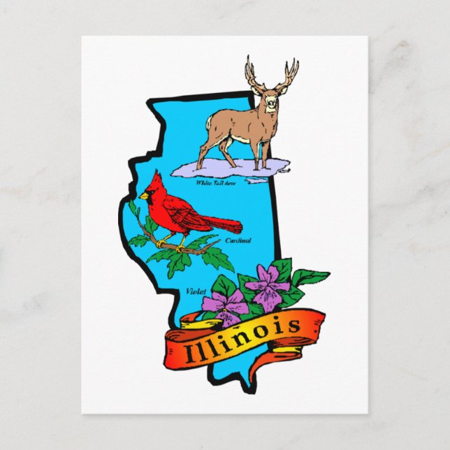 Delstaten Illinios Gifts and Tees Vykort (Framsida)