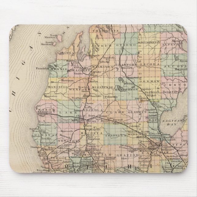 Delstaten Michigan Atlas Karta Musmatta (Framsidan)