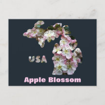 delstaten Michigan och Apple-Blommarna
