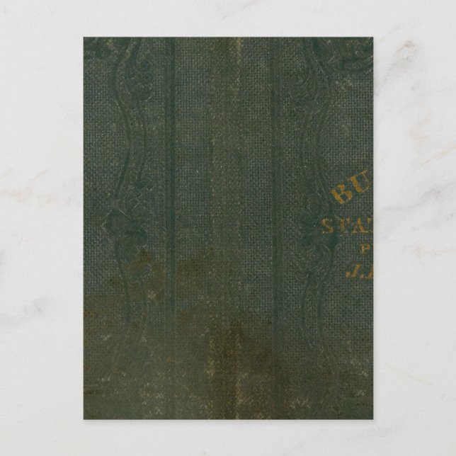 Delstaten New York genom DH Burr 2 Vykort (Framsida)