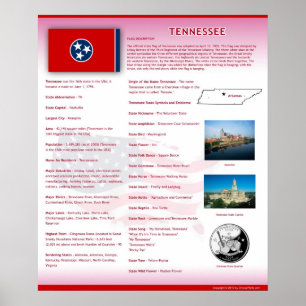Delstaten Tennessee,TN Poster