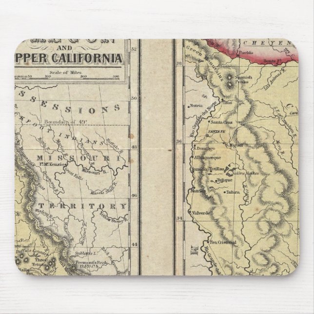 delstaten Texas Musmatta (Framsidan)