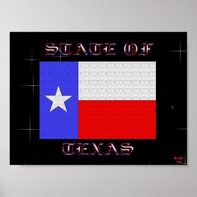 delstaten Texas Poster (Framsidan)