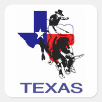 delstaten Texas Rodeo Bull Rider