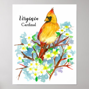 delstaten Virginia Female Cardinal Watercolor Poster