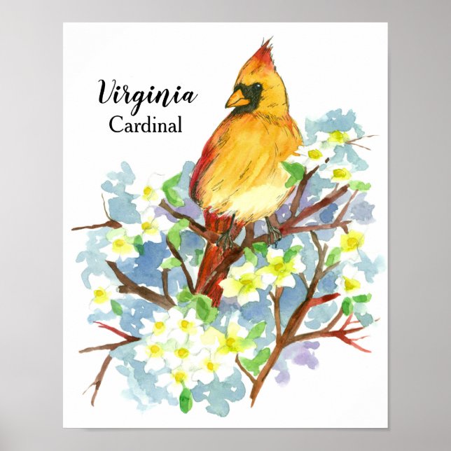 delstaten Virginia Female Cardinal Watercolor Poster (Framsidan)