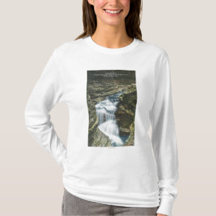 Delstatsparken beskådar av diamantnedgångar t-shirt