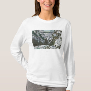 Delstatsparkklyftaupphängning överbryggar beskå tee shirt