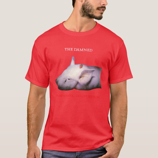 Deluehe Damned cool art gift for fans friends frie T Shirt (Framsida)