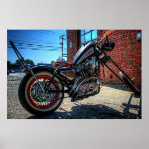 Deluxe Sportster för bondlurk kotlett Poster
