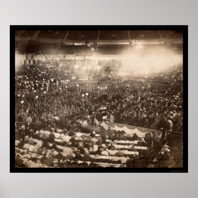 Dem Conv St Louis MO Photo 1904 Poster (Framsidan)