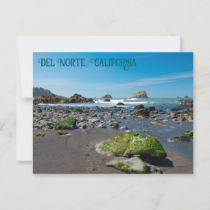 DeMartin Beach Del Norte California Vykort