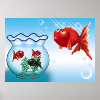 Demekin - Telescope Goldfish- Poster