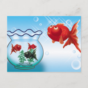 Demekin - Telescope Goldfish- Vykort