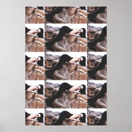 Demi Lowe in Colorado Poster 2