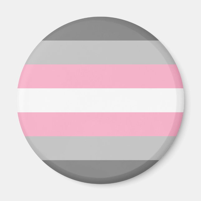Demigirl Flagga LGBT Magnet (Framsidan)