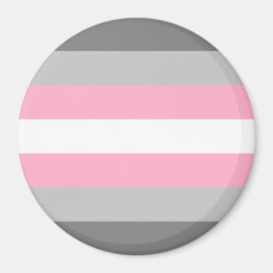 Demigirl Pride Flagga Magnet