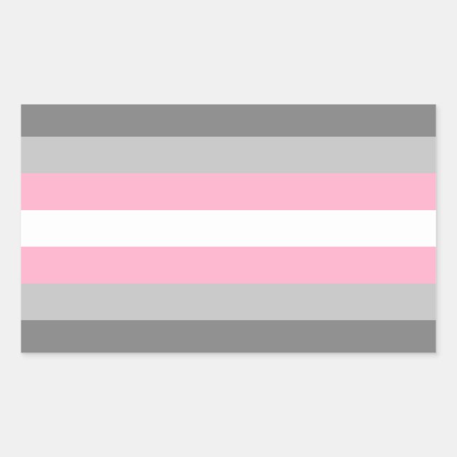 Demigirl-Pridet Rectangle Sticker Rektangulärt Klistermärke (Framsida)