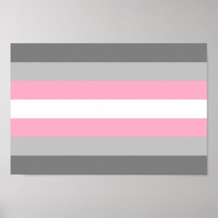 Demigirl Stolthet Poster