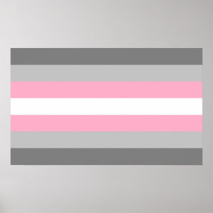 Demigirl Stolthet Poster