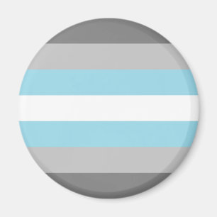 Demiguy Flagga HBTQ Magnet