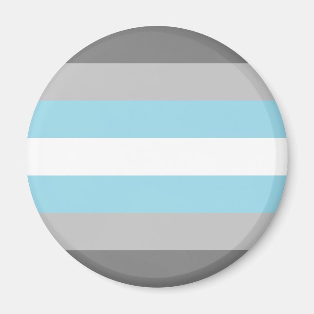 Demiguy Flagga HBTQ Magnet (Framsidan)