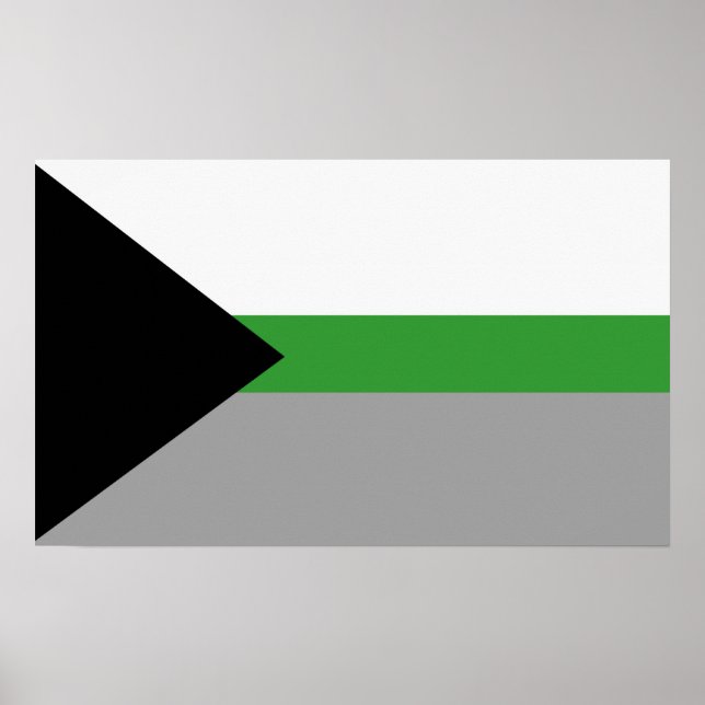 Demiromantisk stolthet poster (Framsidan)