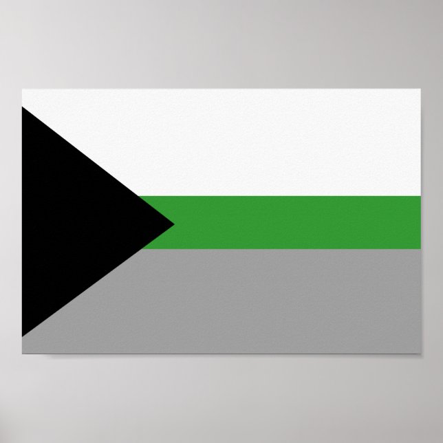 Demiromantisk stolthet poster (Framsidan)