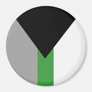 Demiromantiska Prideflagga Magnet