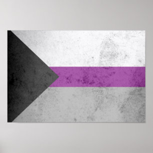 DEMISEXUAL-PRIDEFLAGGA POSTER