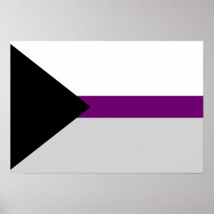 Demisexualitet flagga Poster