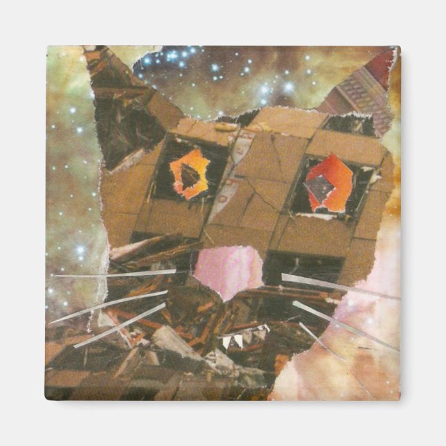 Demo Cat Magnet (Framsidan)