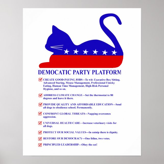 Democatic Party Platform Lusnyj politisk katt Poster (Framsidan)