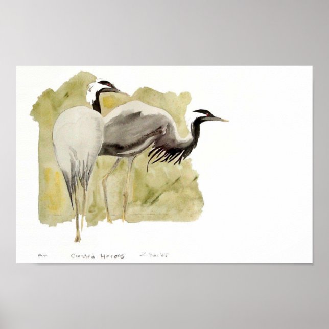 Demoiselle Cranes Poster (Framsidan)