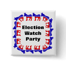 Demokratins valövervakare i Party