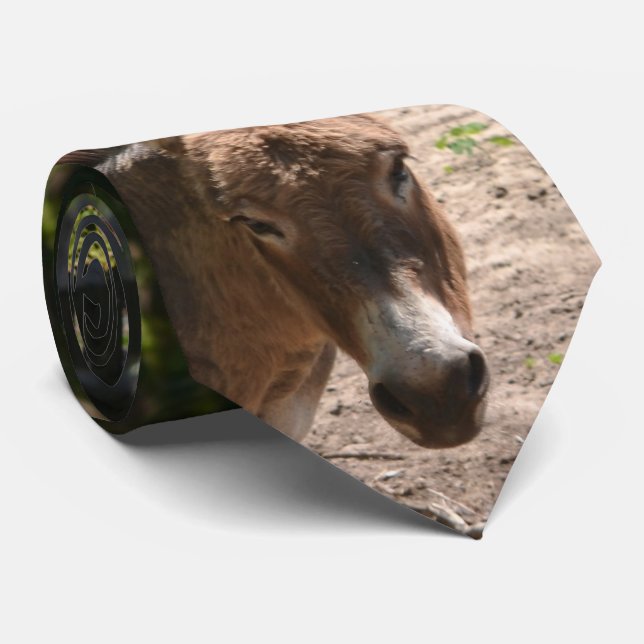 Demokratisk åsna slips (Rullad)