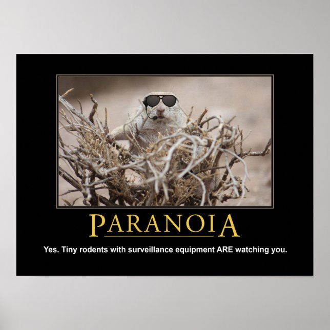 Demotiseringsekorre Poster: Paranoia Poster (Framsidan)