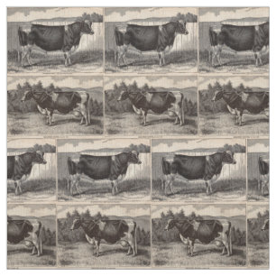 den 19th århundradetryckHolstein tjuren och kviga Tyg