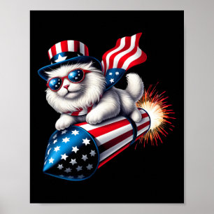 Den 4 juli 2010 var det 4:e Patriotic Cat Rocket m Poster