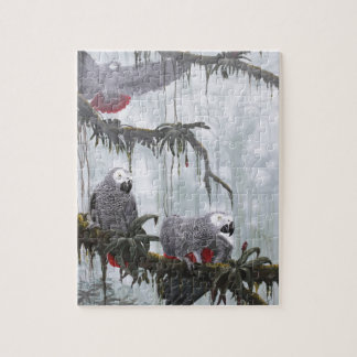 Den afrikanska grå färg mekaniskt säga efter att pussel