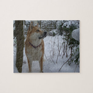 den akita hunden i snö täckte det trädgårds- pussel