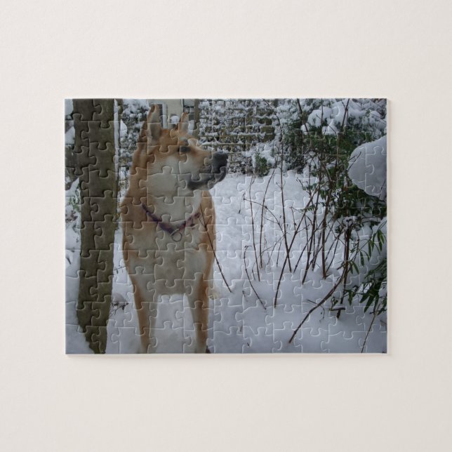 den akita hunden i snö täckte det trädgårds- pussel (Horisontell)