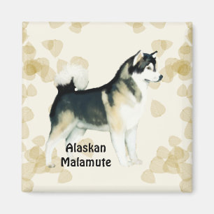 Den alaskabo Malamute~-solbrännan lämnar Motiff Magnet