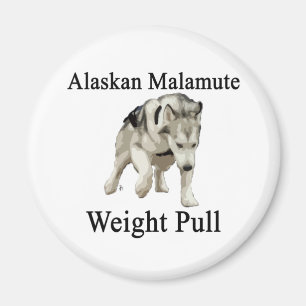 Den alaskabo malamuten väger handtag magnet