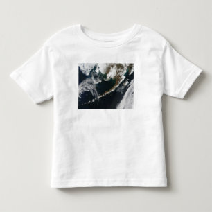 Den alaskabo peninsulan och de Aleutian öarna T-shirt
