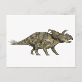 Den Albertaceratops dinosauren i sida profilerar Vykort