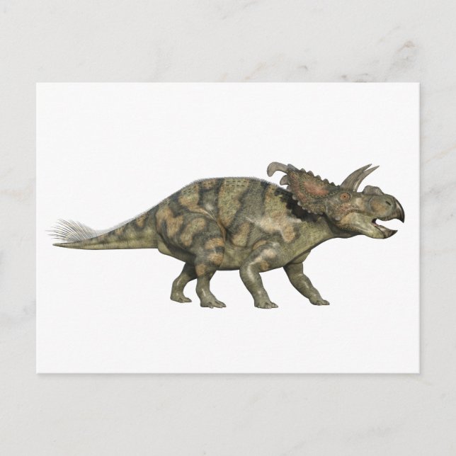 Den Albertaceratops dinosauren i sida profilerar Vykort (Framsida)