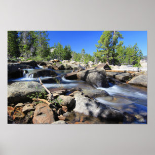 Den amerikanska flodens silver-fork poster